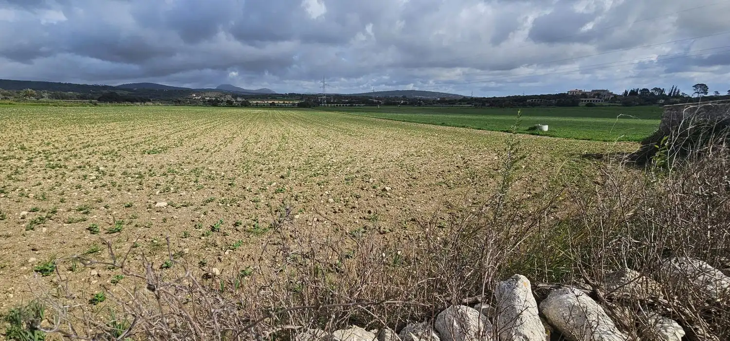 Maison rustique à vendre à Manacor Centre, imagen 9