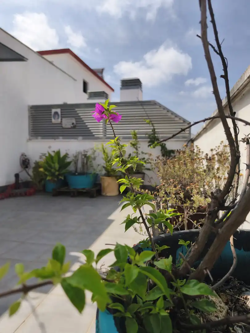 Terraza de Dúplex en venta en Córdoba con Aire acondicionado, Calefacción y Parquet