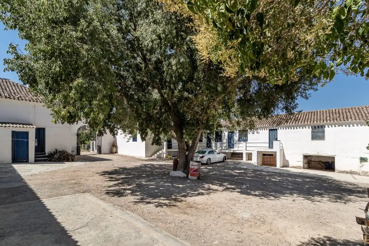 Vista exterior de Finca rústica en venta en Moclín con Piscina