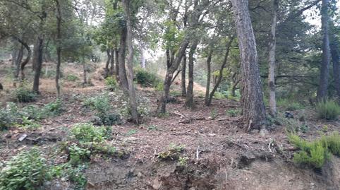 Photo 3 of Land for sale in Carrer Serpentina, 58, Les Planes, Barcelona