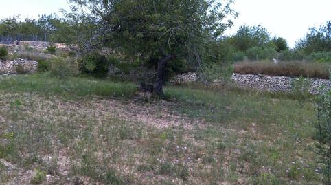 Foto 4 de Residencial en venda a Castell de Montornes, 1, La Pobla de Montornès  , Tarragona