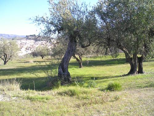 Terreno residencial en Venta en Benilloba