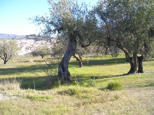 Residential for sale in Benilloba