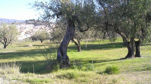 Imatge 1 de l'anunci