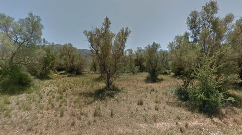 OPORTUNIDAD PARCELA AGRÍCOLA.