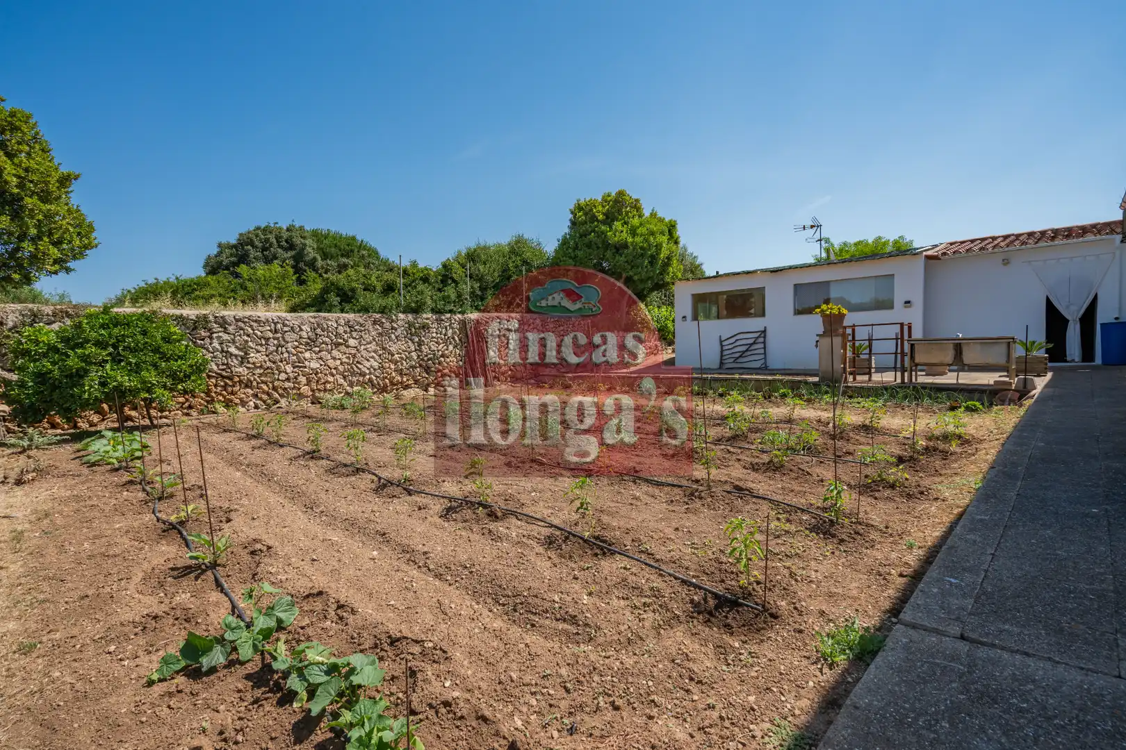 Detached house with pool for sale in Alaior poble, imagen 26