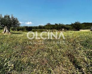 Land for sale in Ibi