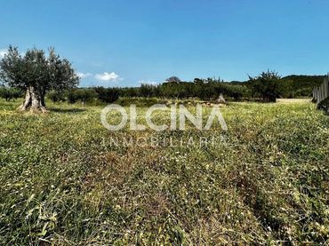 Terreno rustico in vendita a Ibi