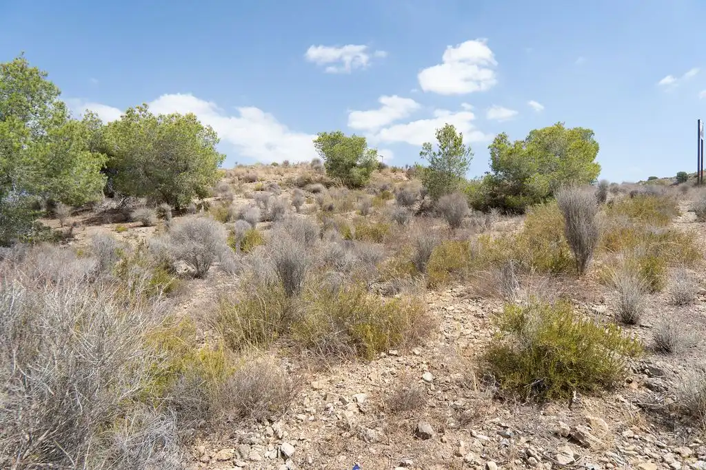 Residencial en venta en Murcia