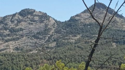 Foto 3 de Finca rústica en venta en Bot, Tarragona