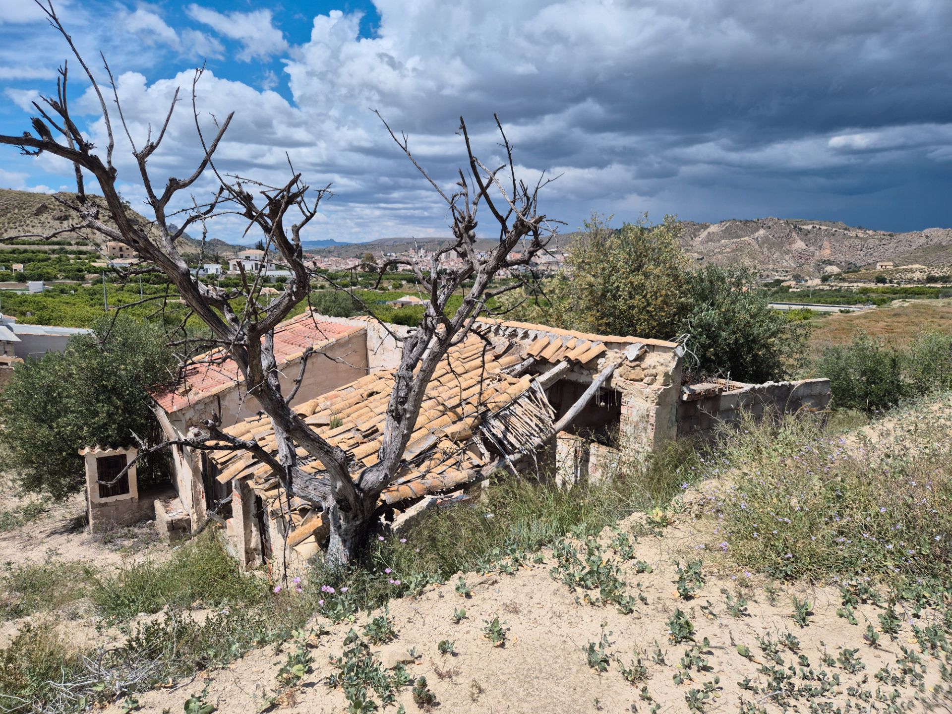Außenansicht von Country house zum verkauf in Abarán