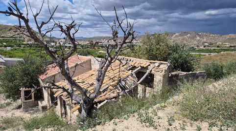 Casa rustica en finca para reformar Abaran Blanca