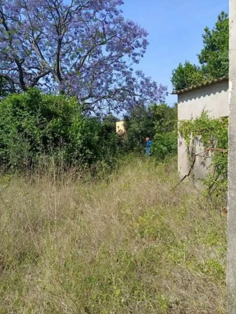 Casa o xalet en venda en Benicarló