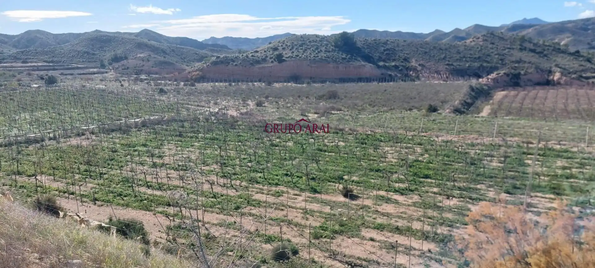 Terreno rústico en venta en Avenida del Mediterráneo