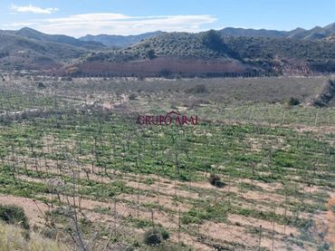 Terrain rustique à vendre à Avenida del Mediterráneo