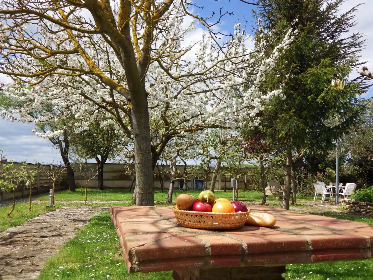 Jardín de Casa o chalet en venta en Berantevilla con Calefacción, Terraza y Amueblado
