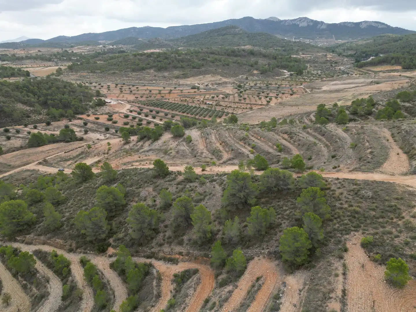 Terreny residencial en venda a Jumilla, imagen 8
