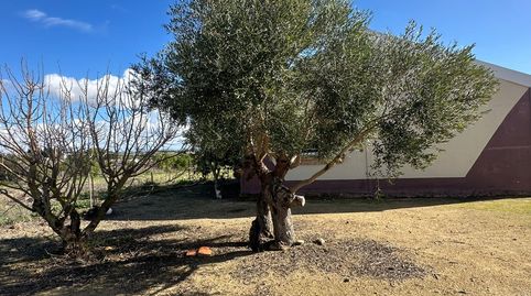 Photo 4 of Country homes for sale in Los Franceses – La Vega, Chiclana de la Frontera