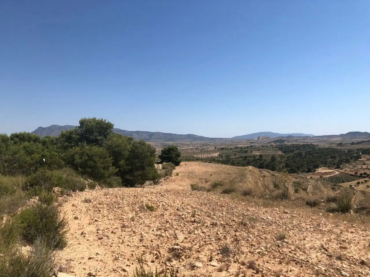 Rustikales Grundstück zum Verkauf in Jumilla, imagen 4