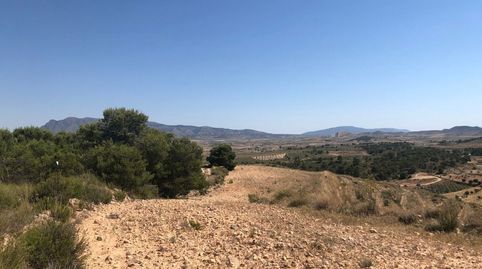 Parcela Urbanizable en La Zarza Jumilla 37.566 m, immagine 4