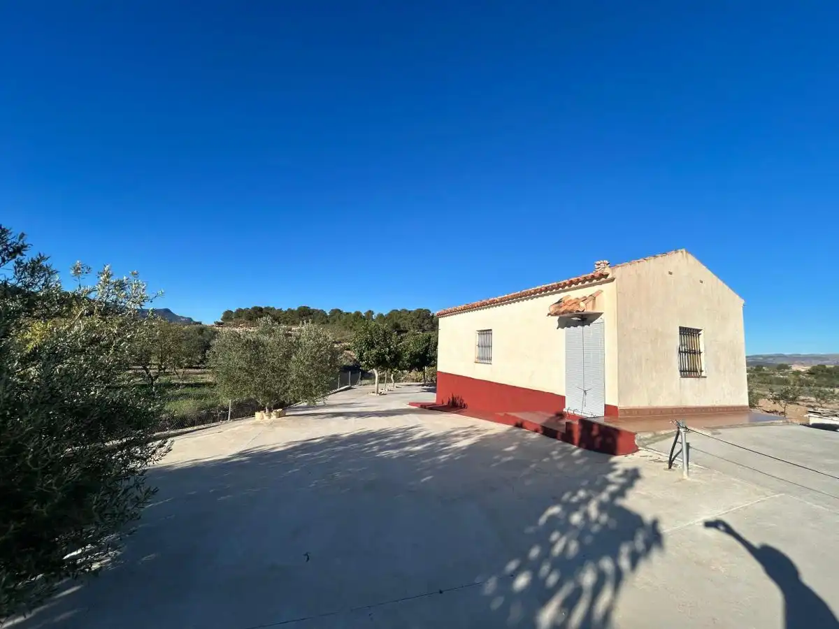 Vista exterior de Finca rústica en venda en Jumilla