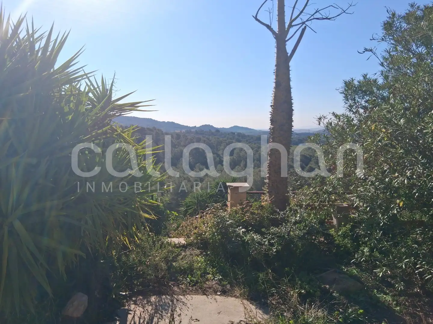 Residential land for sale in Camino de la Creu d'Horquera, imagen 18