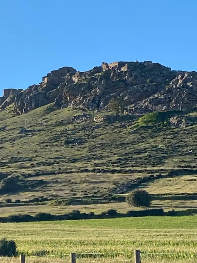 Terreny rústic en venda a Magacela, imagen 5