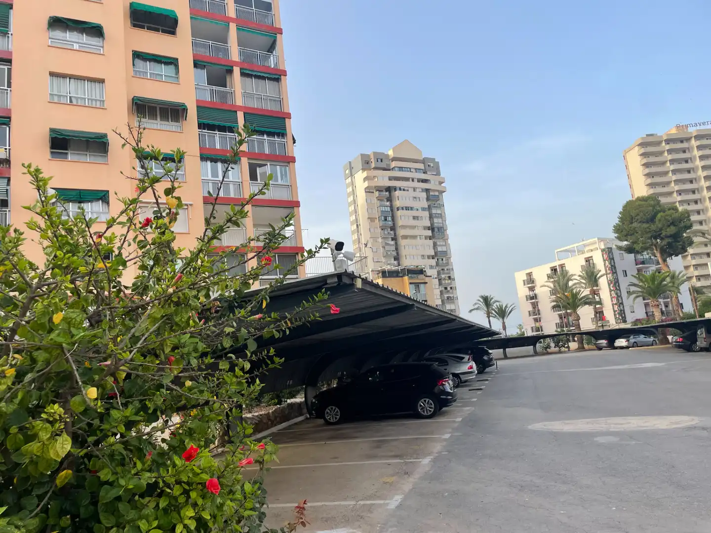 Appartement avec terrasse à vendre à Levante Alto, imagen 53