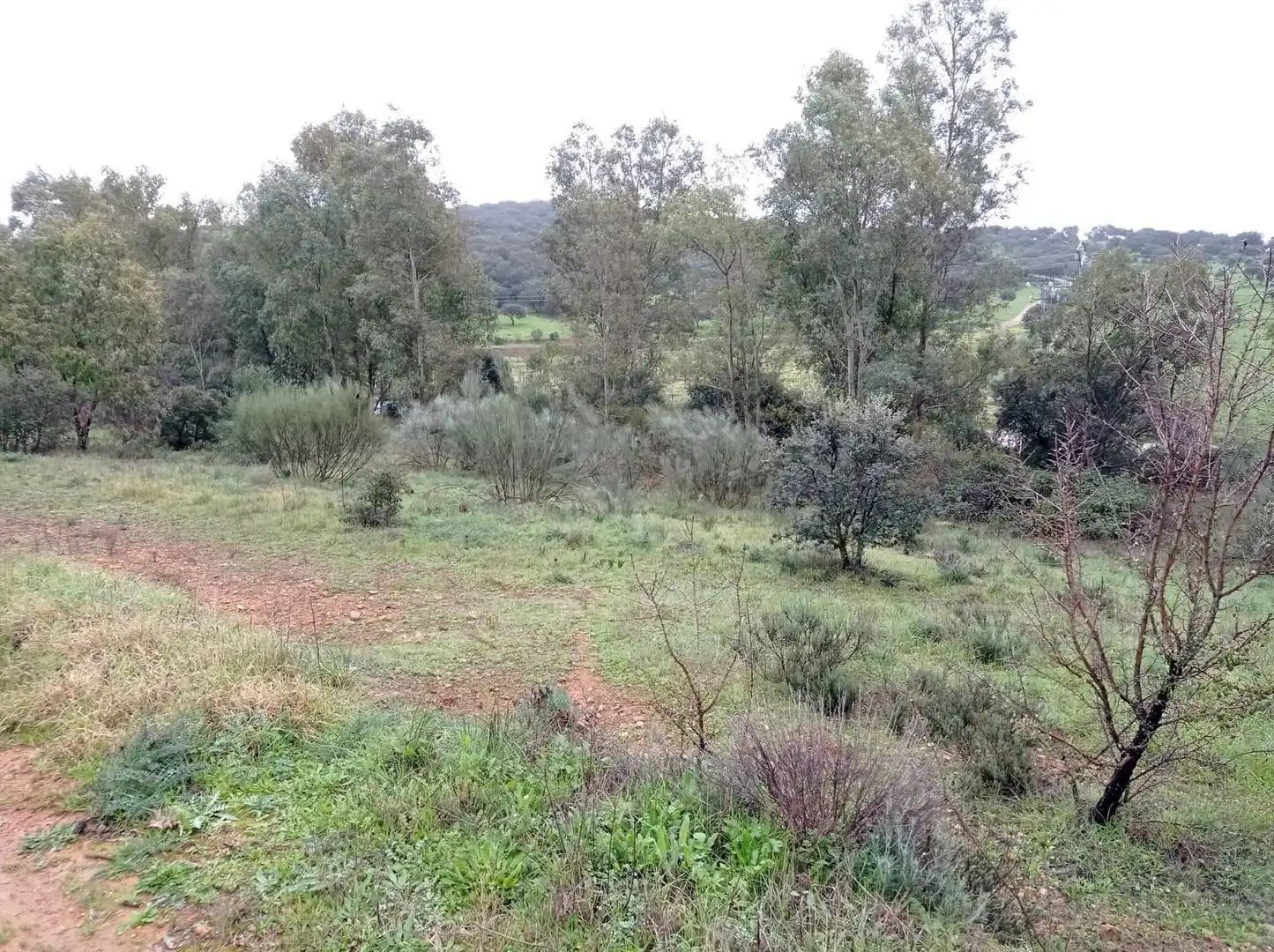 Casa rústica en venda a Valdesalor - Rincón de Ballesteros, imagen 7