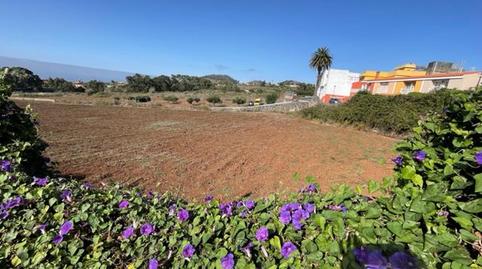 Foto 2 de Finca rústica en venda a Guayonje - Mesa del Mar, Santa Cruz de Tenerife