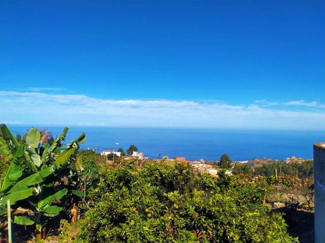 Terreno en Venta en Santa Bárbara - La Florida