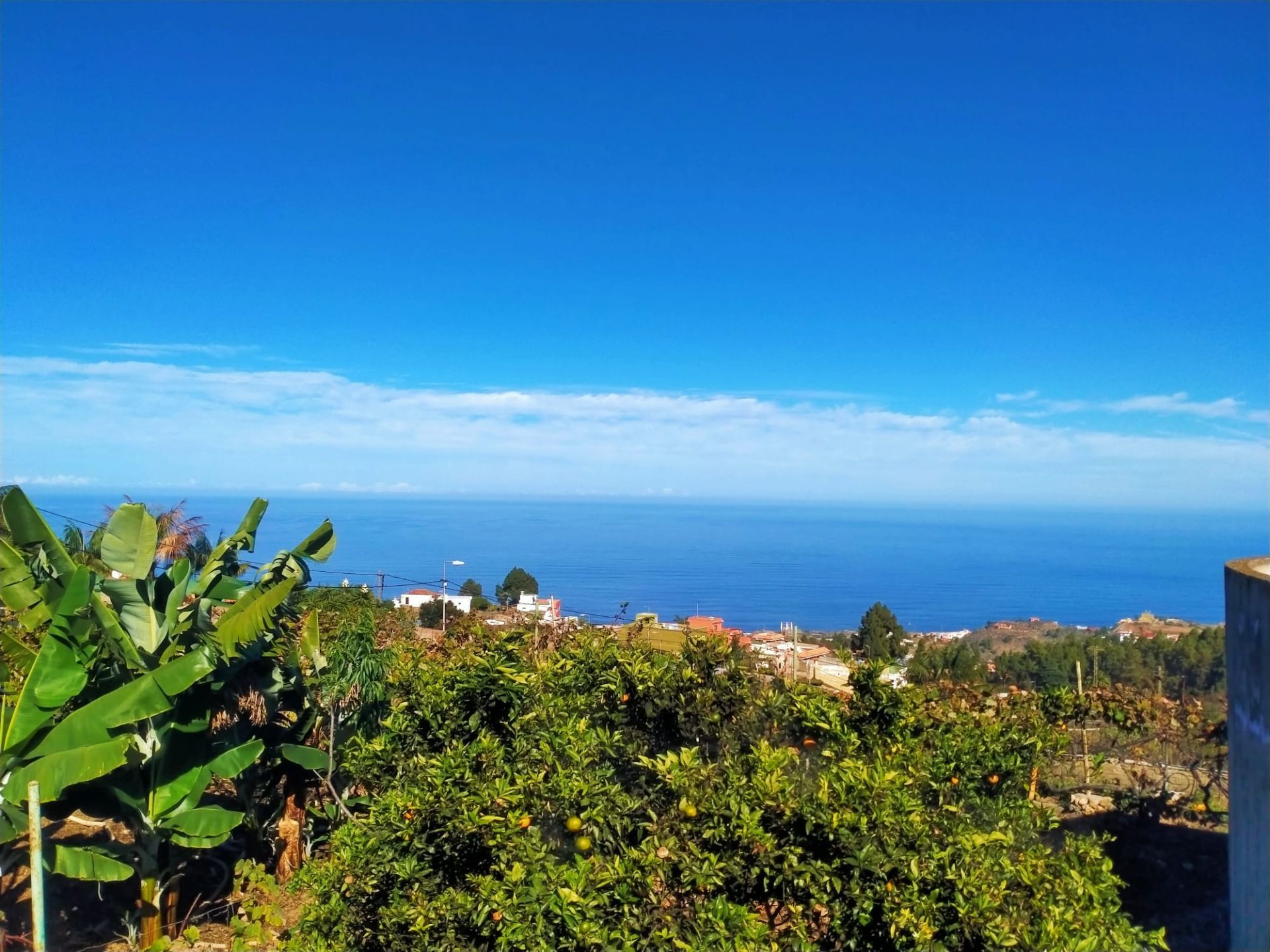 Exterior view of Land for sale in Icod de los Vinos