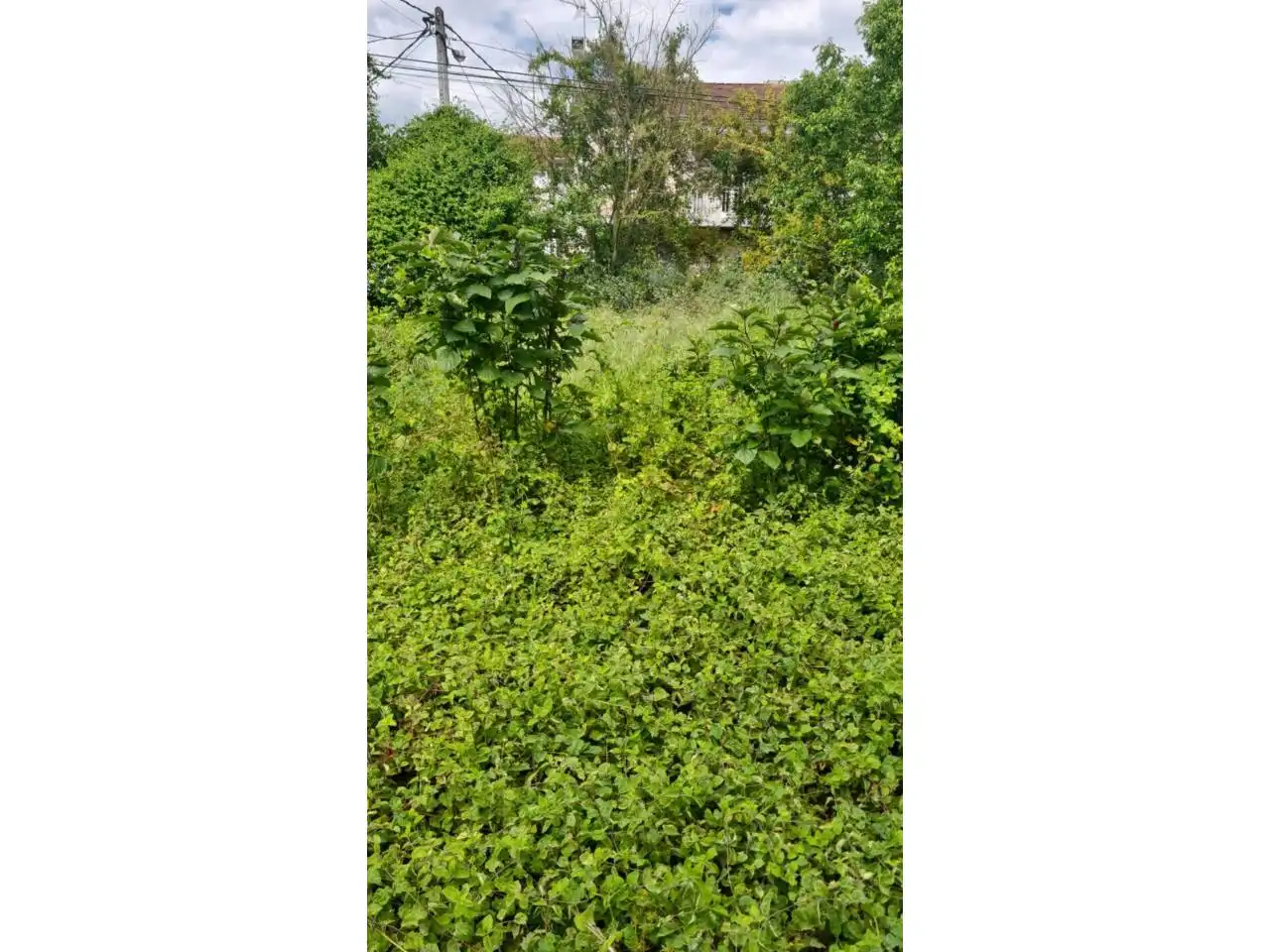 Casa o xalet en venda en Ourense Capital  amb Calefacció, Jardí privat i Traster