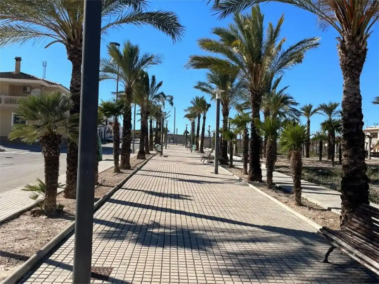Vista exterior de Pis en venda en Orihuela amb Aire condicionat, Jardí privat i Parquet