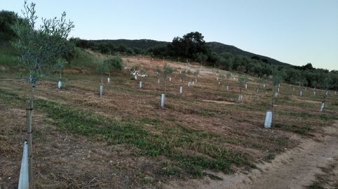 Foto 3 von Country house zum Verkauf in Lora de Estepa, Sevilla