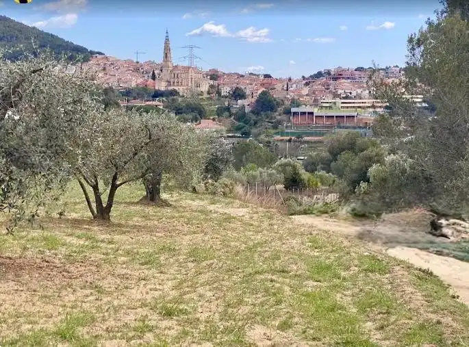 Lands and plots for sale in El Racó - Sant Feliu del Racó, imagen 5