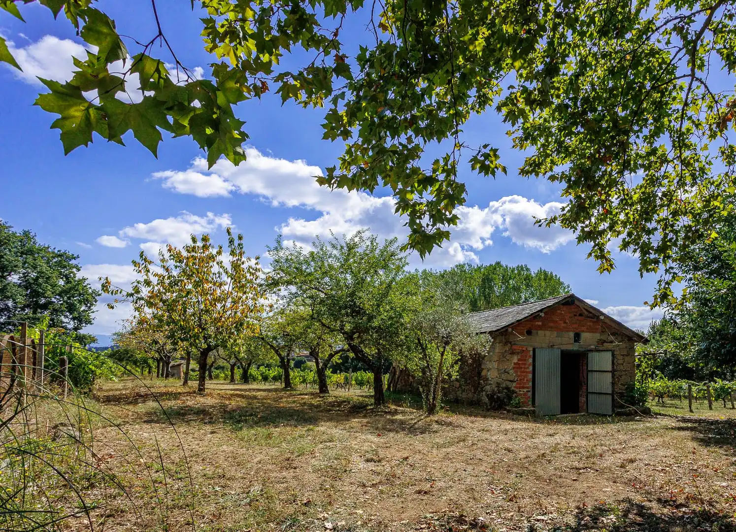 Geschaftsraum zum Verkauf in Monforte de Lemos