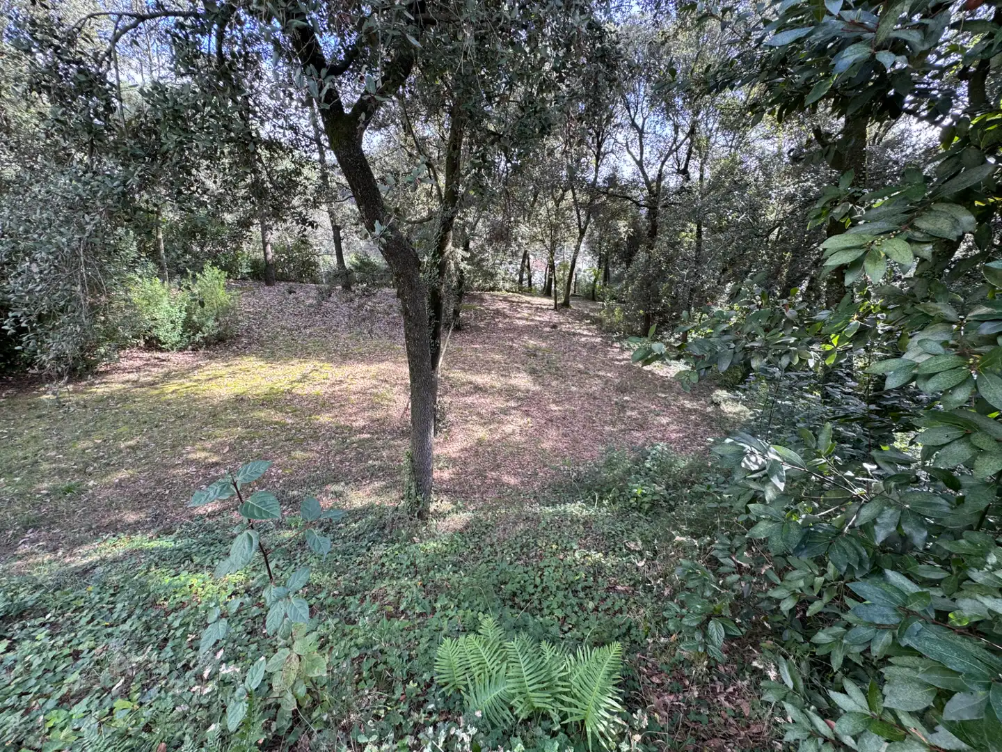 Maison avec jardin à vendre à Sant Pere de Vilamajor, imagen 43
