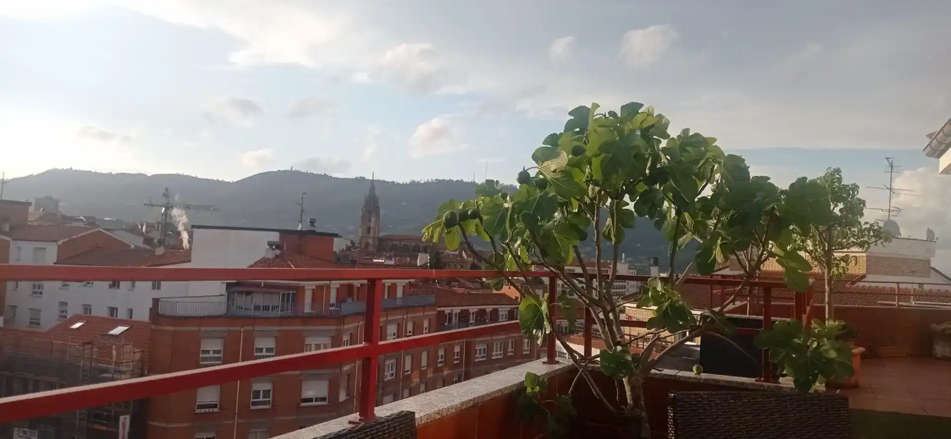 Terrassa de Àtic per a compartir en Oviedo  amb Parquet, Moblat i Forn