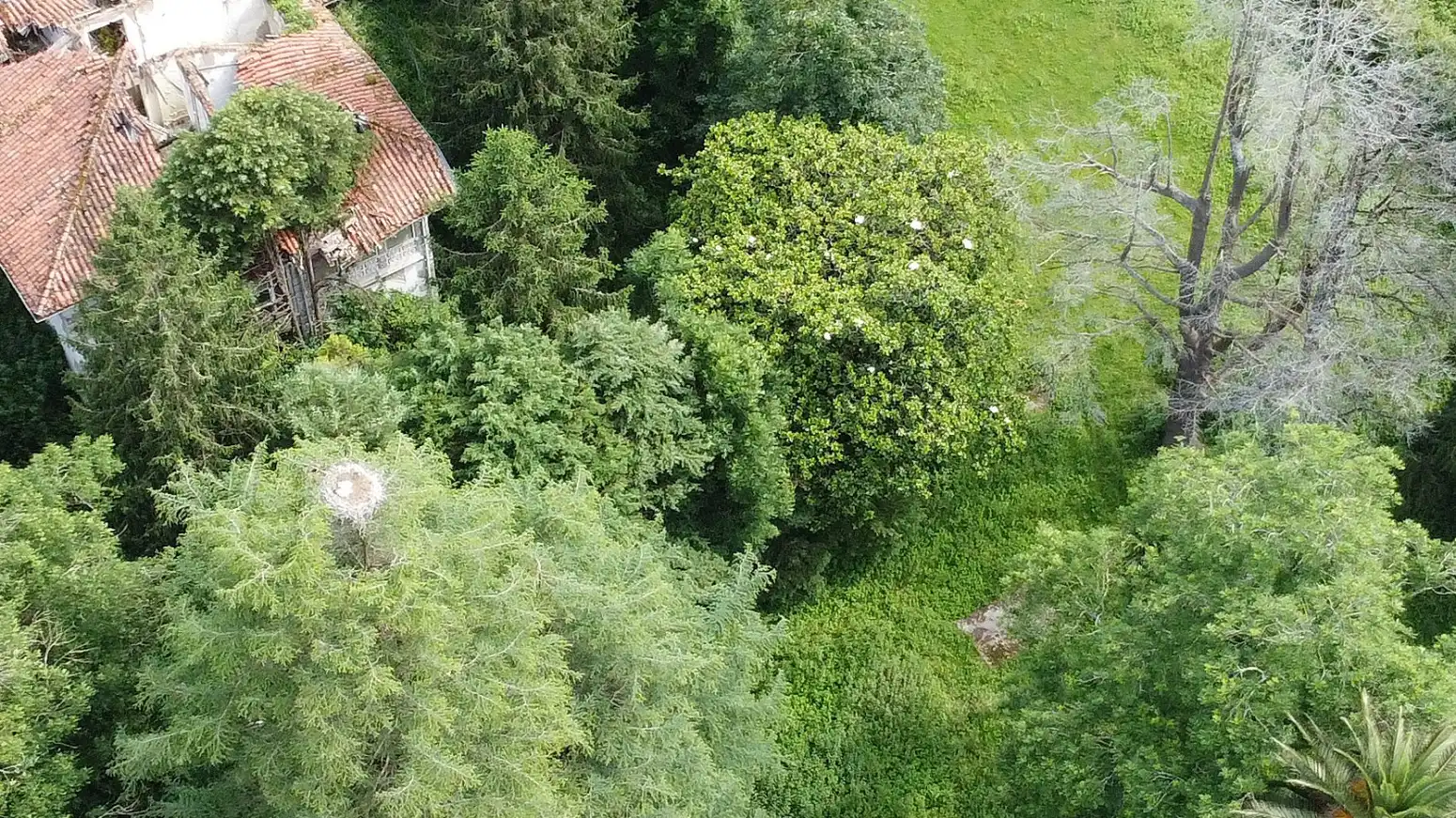 Terreni e lotti in vendita a Santa María de Cayón, imagen 19