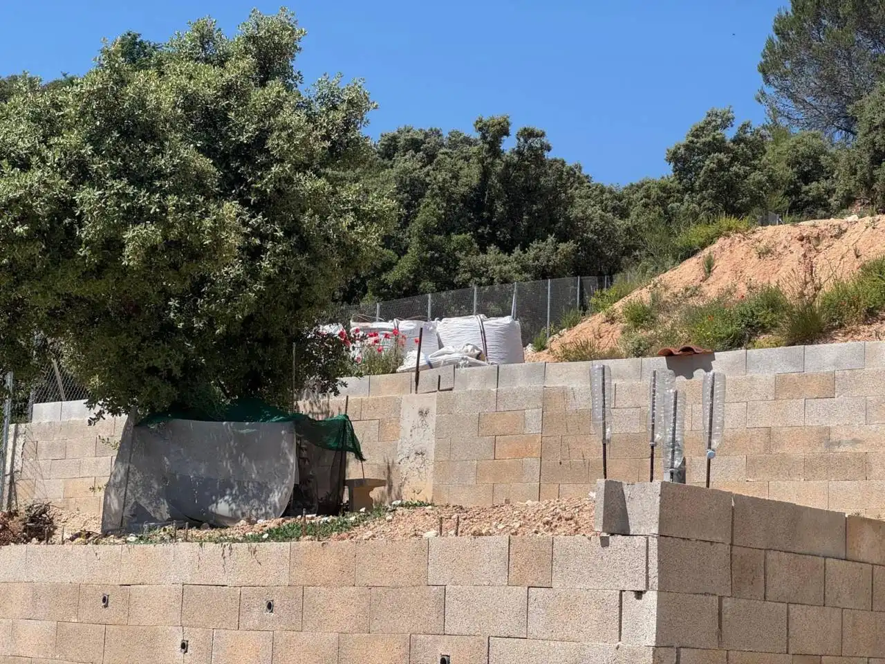 Terrenos y solares en venta en Camino Palmeras, imagen 4