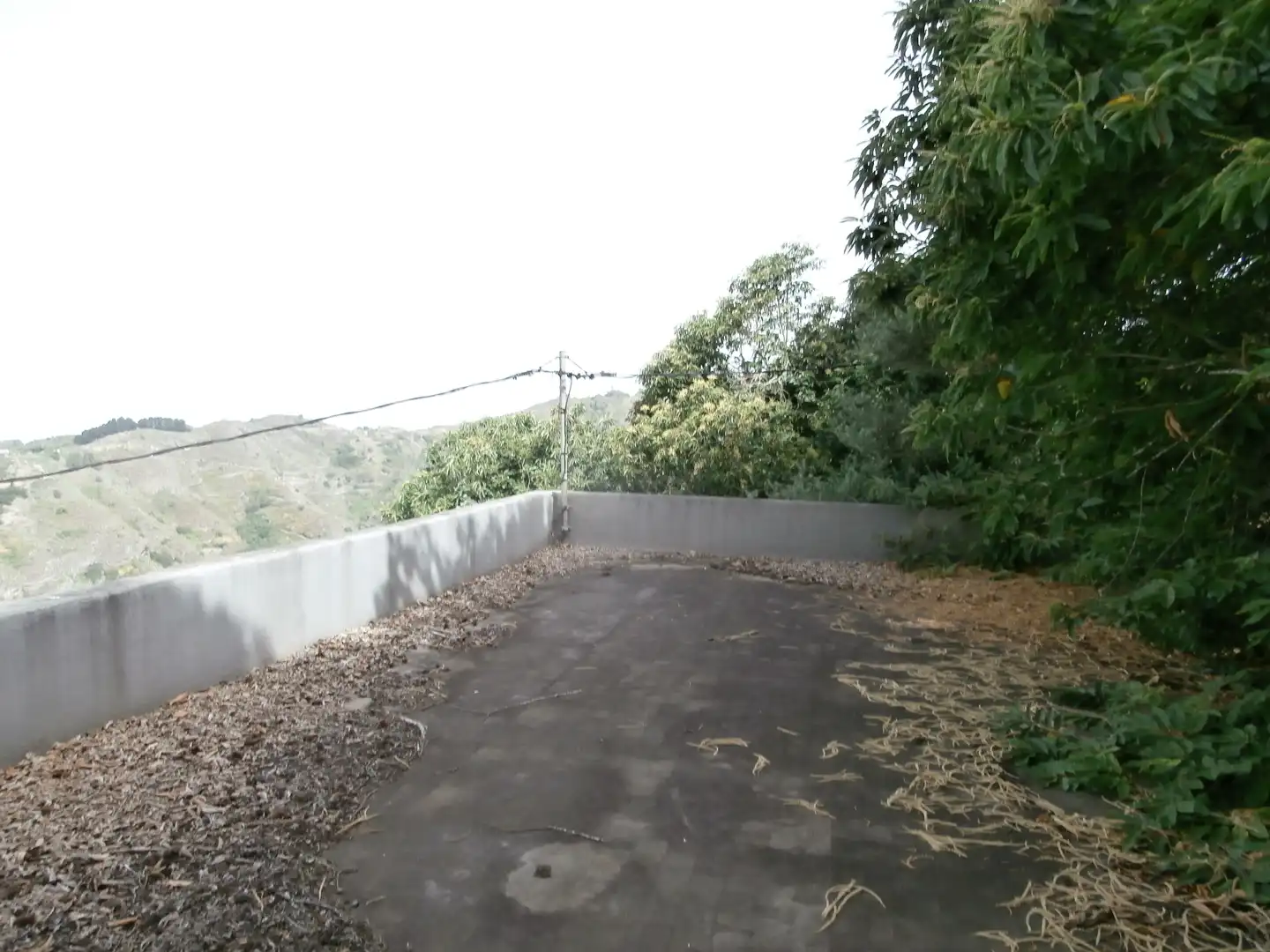 Finca rústica en venta en Camino Lomo el Marco, 41, Moya (Las Palmas)