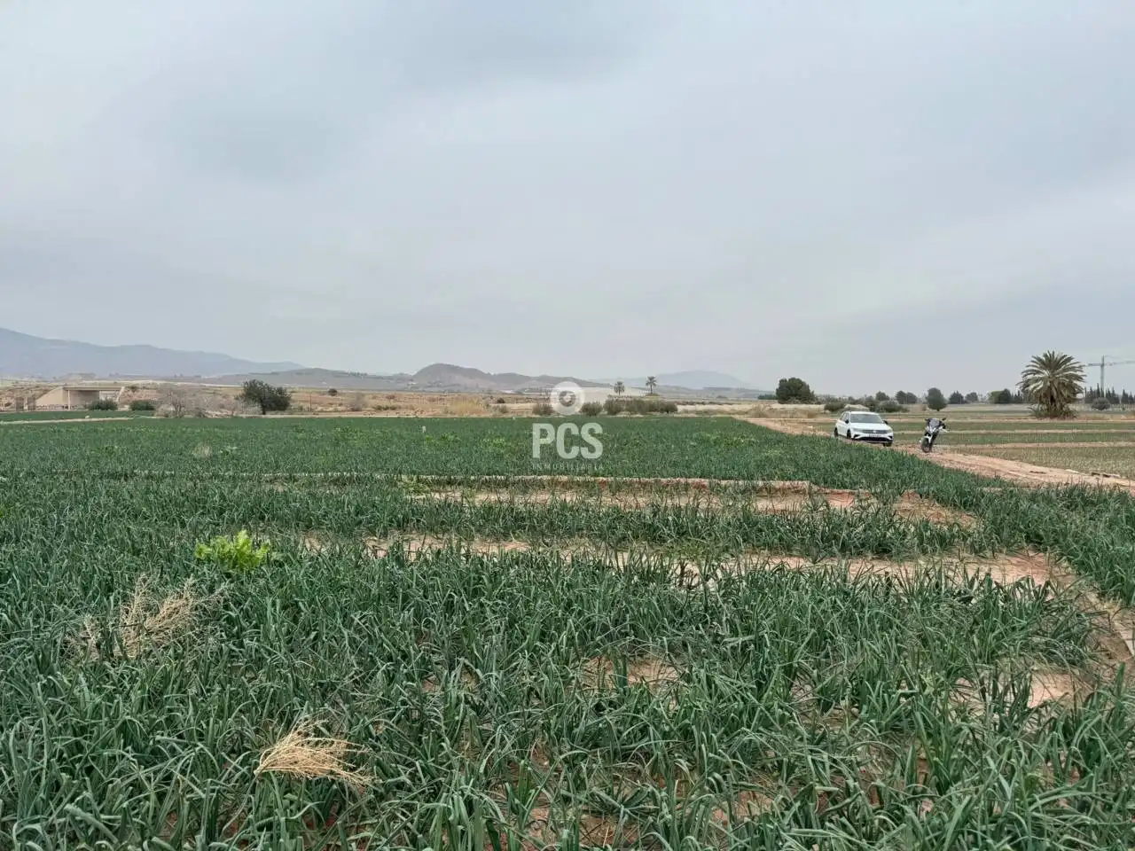 Terreny rústic en venda a Camino Huertos Nuevos Zona Ñorica S/N, imagen 2