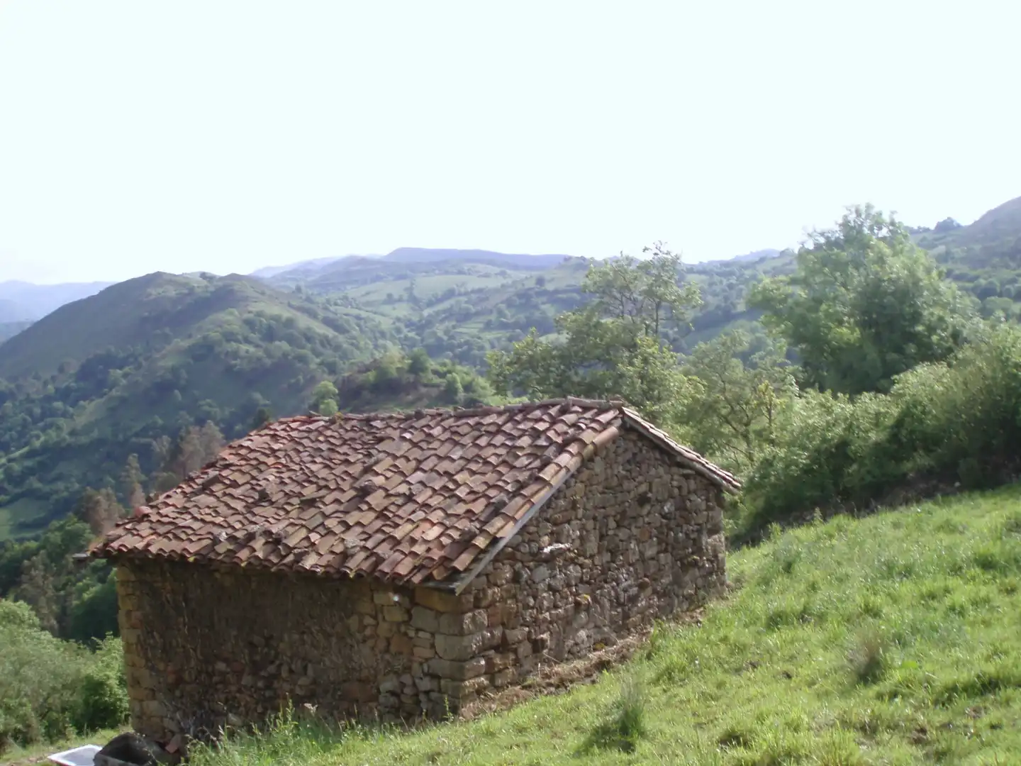 Terreny rústic en venda a Grado, imagen 14