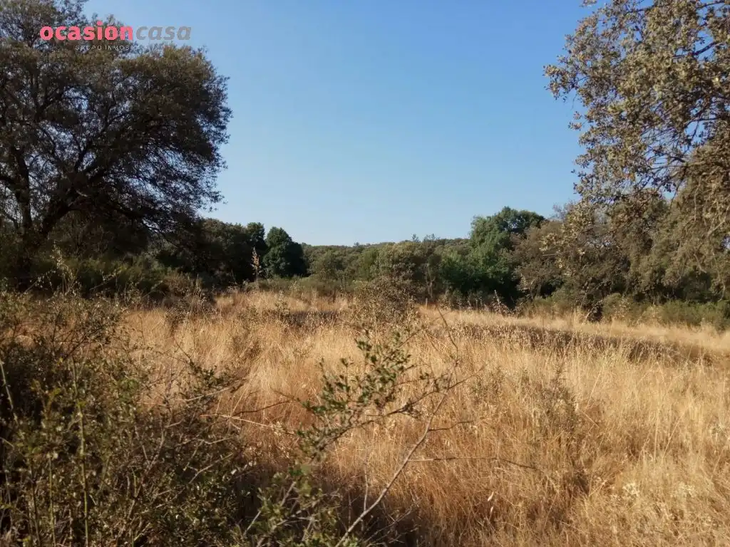 Country homes for sale in Torrecampo