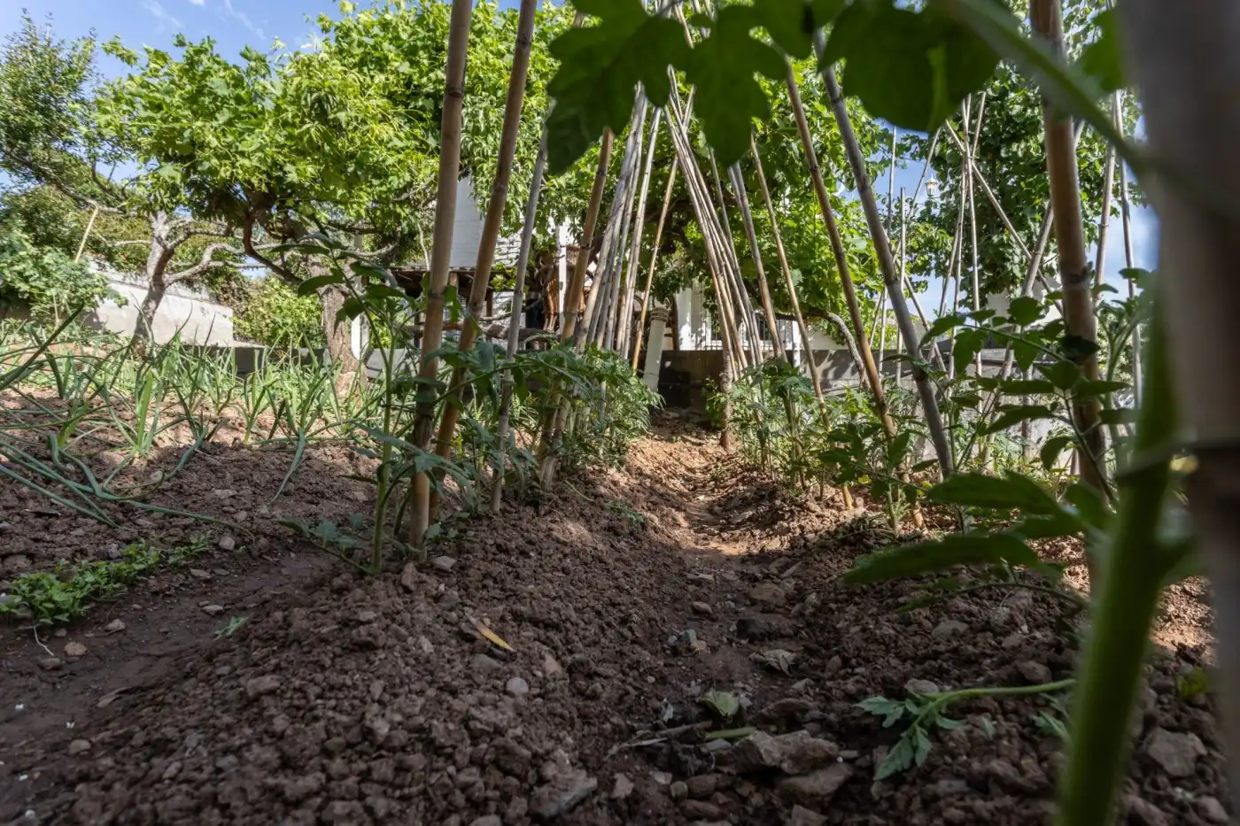Jardín de Casa o chalet en venta en Dúdar con Aire acondicionado, Calefacción y Jardín privado