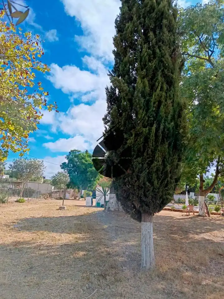 Landhaus mit Pool zum Verkauf in La Puebla del Río, imagen 12