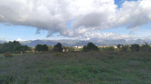 Photo 3 of Country house for sale in Santa María del Camí, Illes Balears