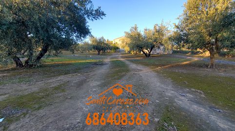 Casa de Campo para reformar, immagine 3