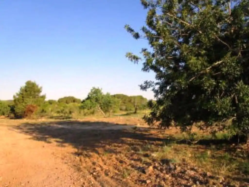 Rural land for sale in Cm Del Moro, imagen 6